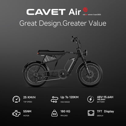 20" Fat Tire Electric Bike for Adults, 48V 15.6Ah Battery, 250W Motor, 7-Speed E-Bike with Dual Suspension