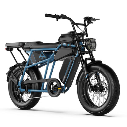 20" Fat Tire Electric Bike for Adults, 48V 15.6Ah Battery, 250W Motor, 7-Speed E-Bike with Dual Suspension