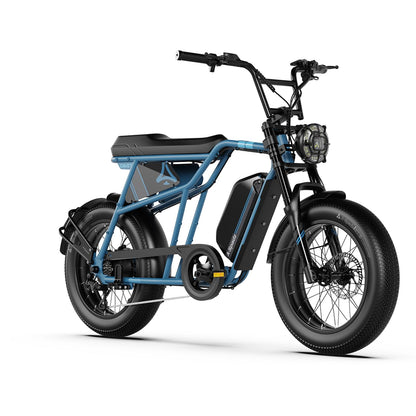 20" Fat Tire Electric Bike for Adults, 48V 15.6Ah Battery, 250W Motor, 7-Speed E-Bike with Dual Suspension