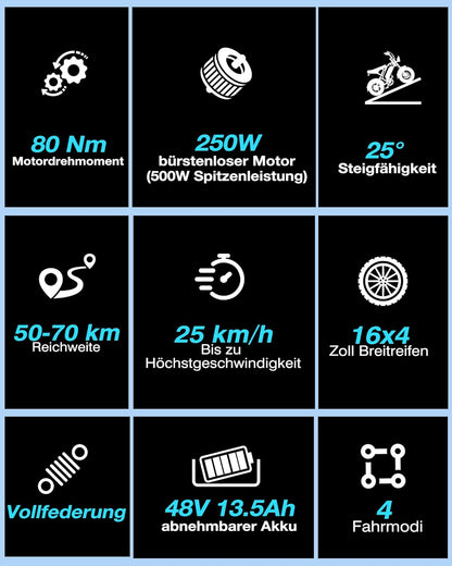 16" Fat Tire Electric Bike for Adults, 48V 13.5Ah Removable Battery, 250W Motor, Dual Suspension E-Bike with LCD Display