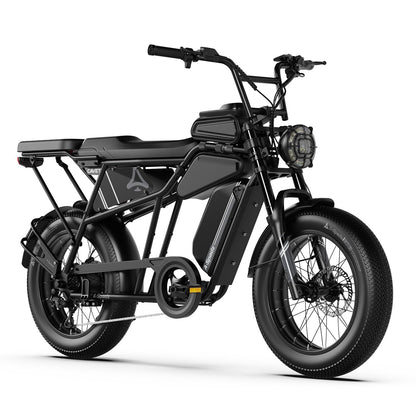 20" Fat Tire Electric Bike for Adults, 48V 15.6Ah Battery, 250W Motor, 7-Speed E-Bike with Dual Suspension