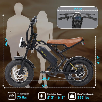 16" Fat Tire Electric Bike for Adults, 48V 13.5Ah Removable Battery, 250W Motor, Dual Suspension E-Bike with LCD Display