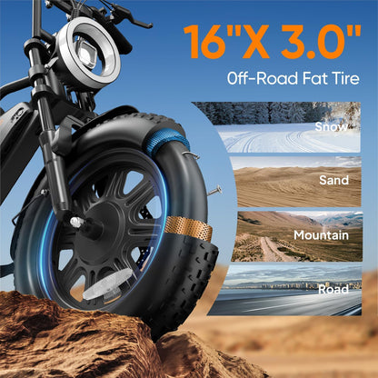 16" Fat Tire Electric Bike, 48V 13Ah Removable Battery, 250W Motor, Dual Suspension E-Bike with Storage Box & LCD Display