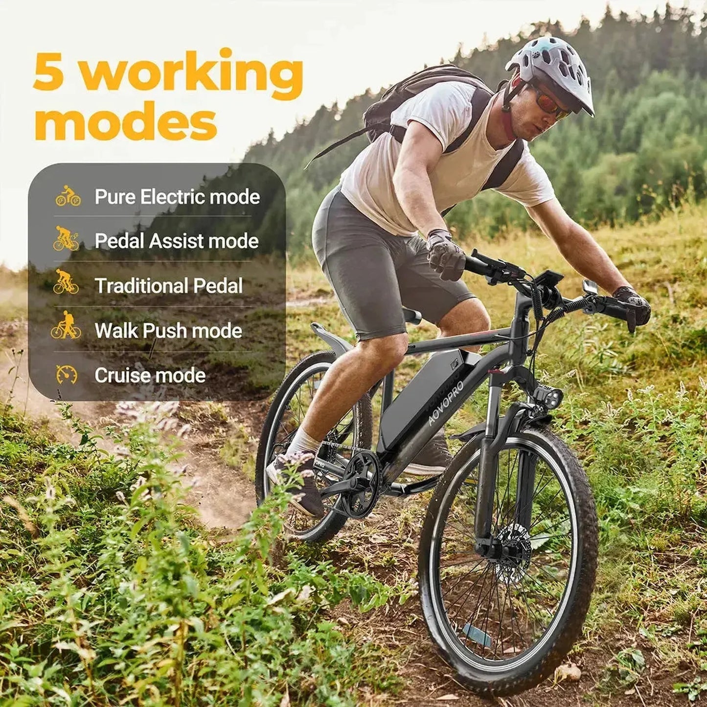 AOVOPRO BK900 Electric Bike
