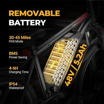 AOVOPRO BK520 Electric Bike