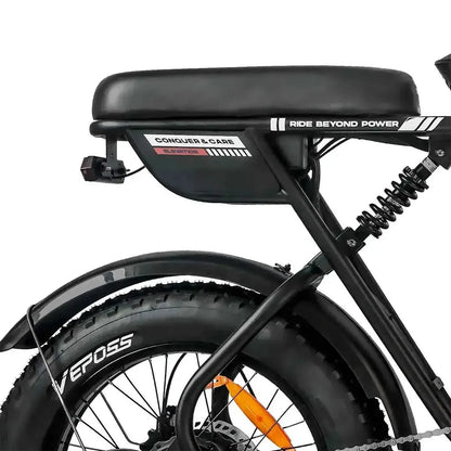 BLUVALL K10 Trail Electric Bike