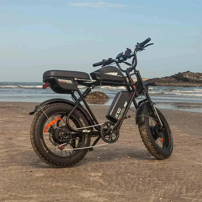 BLUVALL K10 Trail Electric Bike