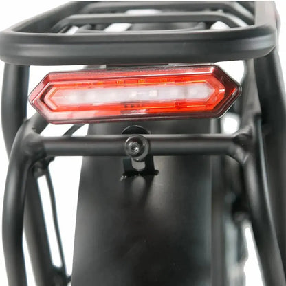 CYSUM Panda Electric Bike