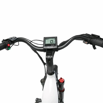 CYSUM Panda Electric Bike