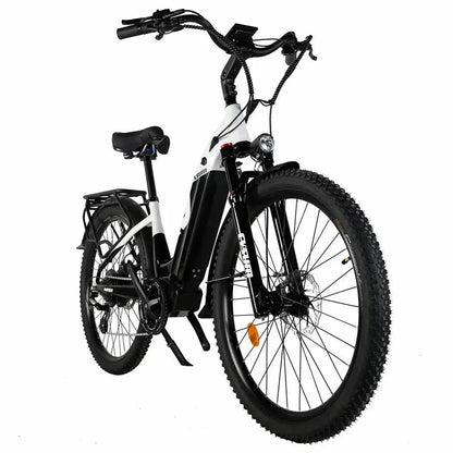 CYSUM Panda Electric Bike
