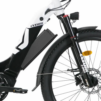 CYSUM Panda Electric Bike