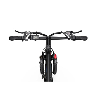 DUOTTS C29 Electric Bike with Single Battery