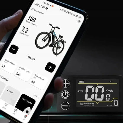 DUOTTS C29 Electric Bike with Single Battery