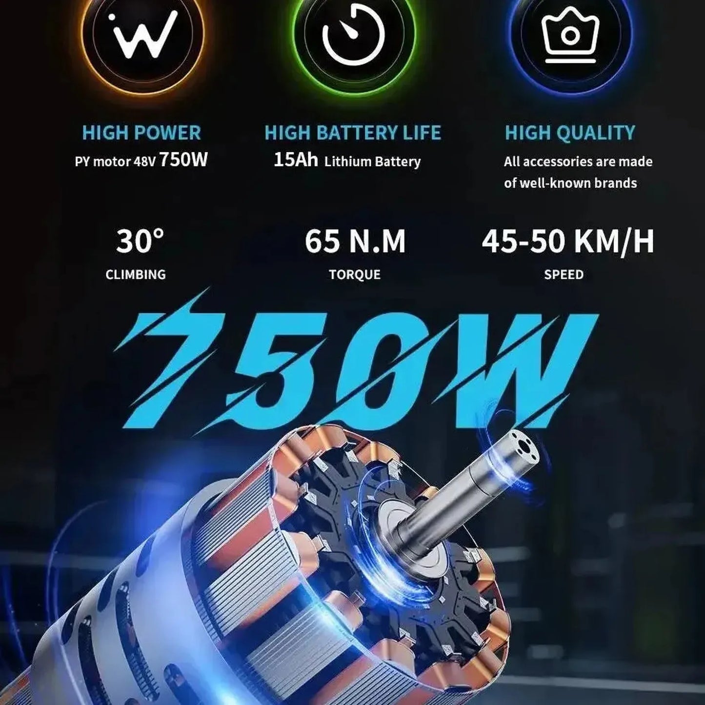 DUOTTS C29 Electric Bike with Single Battery