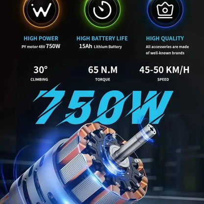 DUOTTS C29 Electric Bike with Single Battery