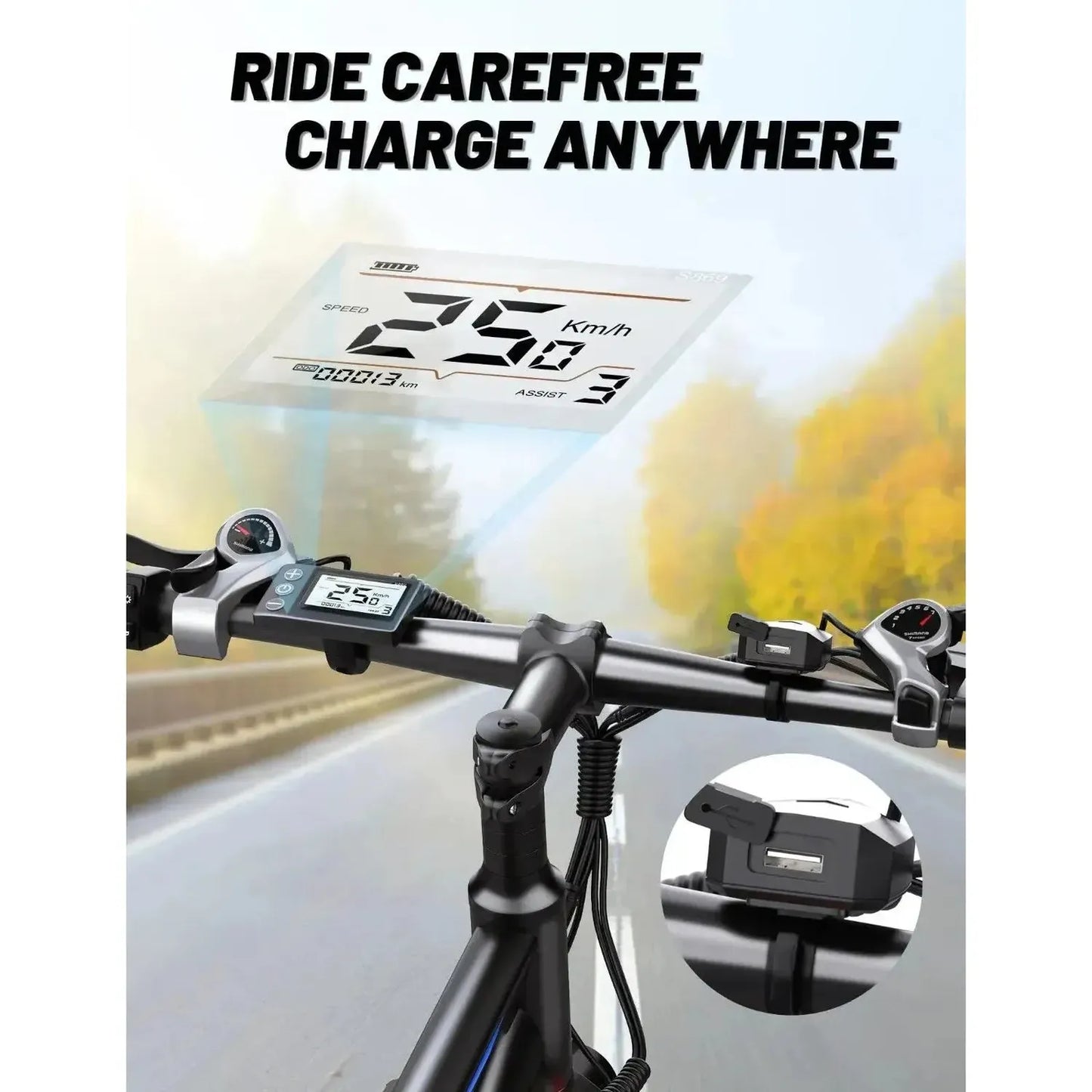 DUOTTS C29 Electric Bike with Single Battery