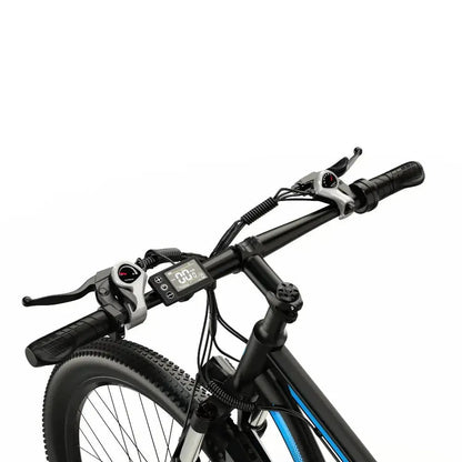 DUOTTS C29 Electric Bike with Single Battery