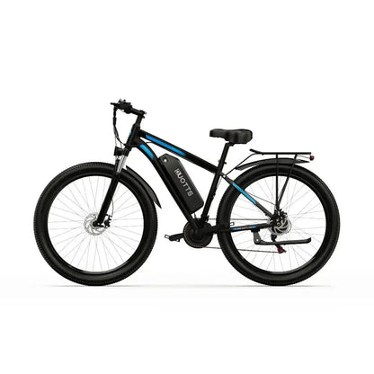 DUOTTS C29 Electric Bike with Single Battery