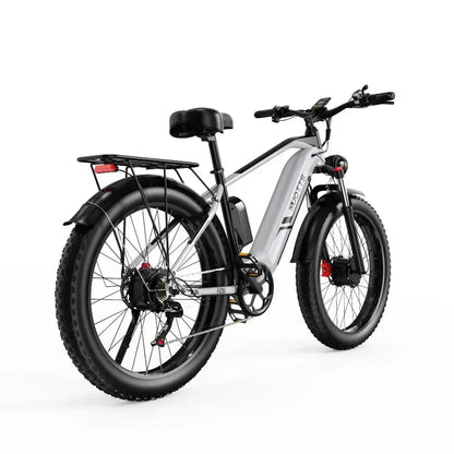 DUOTTS F26 Electric Bike