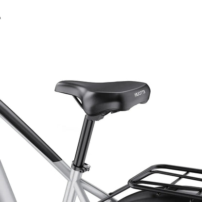 DUOTTS F26 Lite Electric Bike