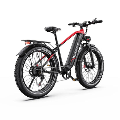 DUOTTS F26 Lite Electric Bike