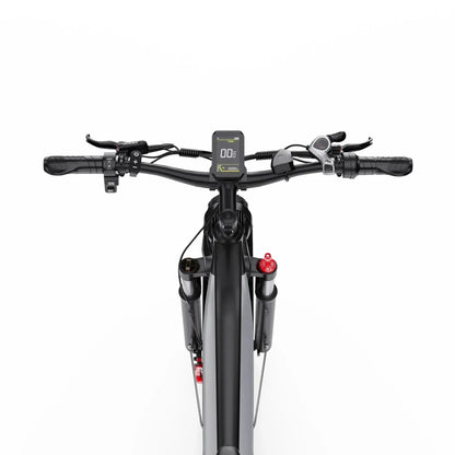 DUOTTS F26 Lite Electric Bike