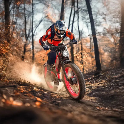 DUOTTS N26 Electric Bike