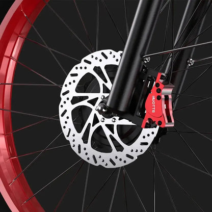 DUOTTS N26 Electric Bike