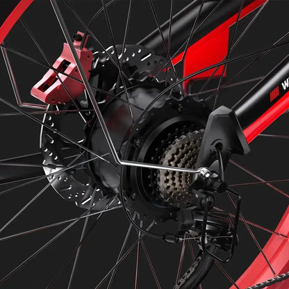DUOTTS N26 Electric Bike