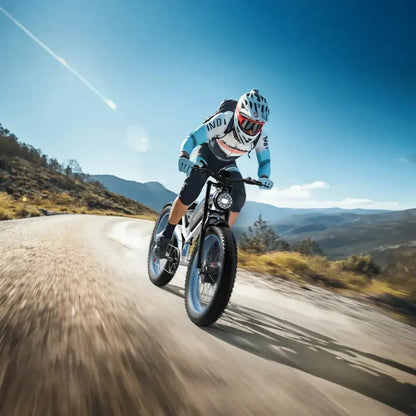 DUOTTS N26 Electric Bike