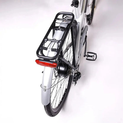 EMOTORAD Plymouth Electric Bike
