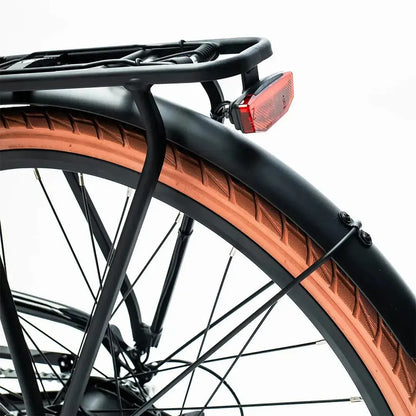 EMOTORAD Plymouth Electric Bike