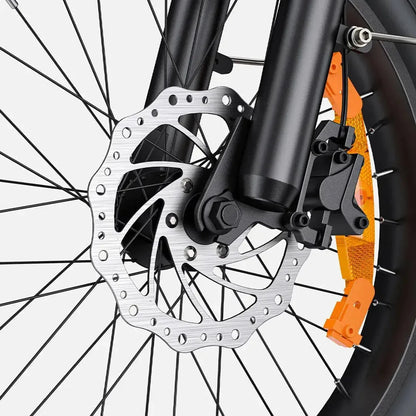 ENGWE L20 3.0 Boost Electric Bike