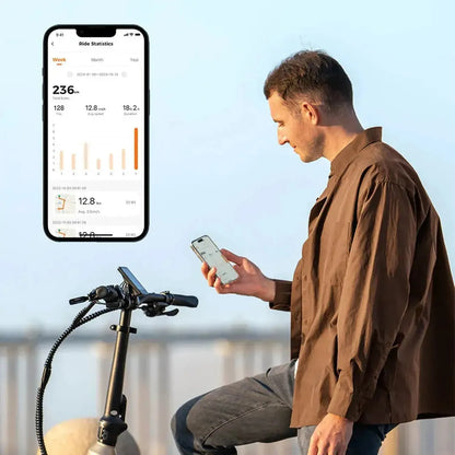 ENGWE L20 3.0 Boost Electric Bike