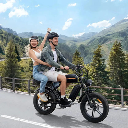 ENGWE M1 Dual Battery Electric Bike