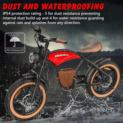 HIDOES B10 Fat Tire Electric Bike