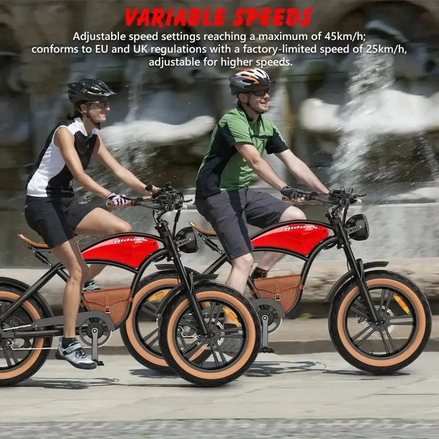 HIDOES B10 Fat Tire Electric Bike