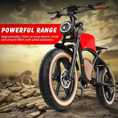 HIDOES B10 Fat Tire Electric Bike