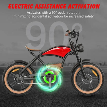 HIDOES B10 Fat Tire Electric Bike