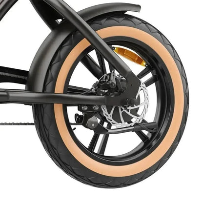 HIDOES B10 Fat Tire Electric Bike