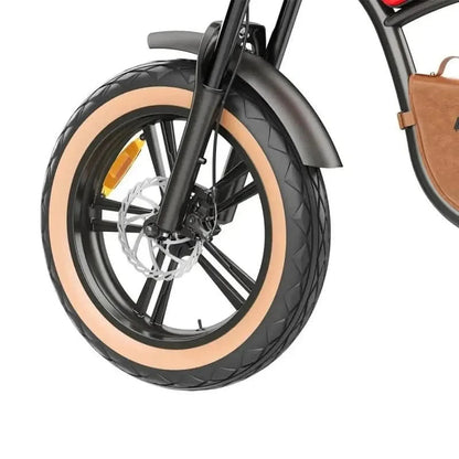 HIDOES B10 Fat Tire Electric Bike