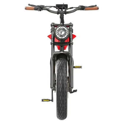 HIDOES B10 Fat Tire Electric Bike