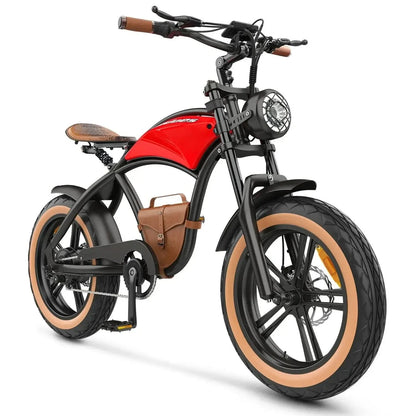 HIDOES B10 Fat Tire Electric Bike