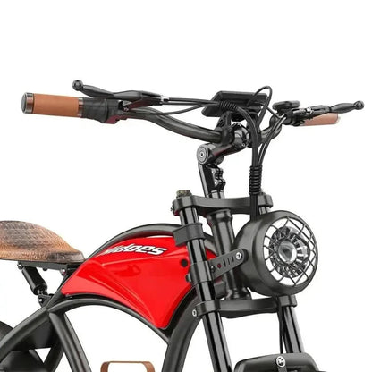 HIDOES B10 Fat Tire Electric Bike