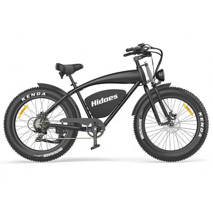 HIDOES B3 Electric Bike