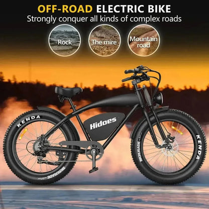 HIDOES B3 Electric Bike