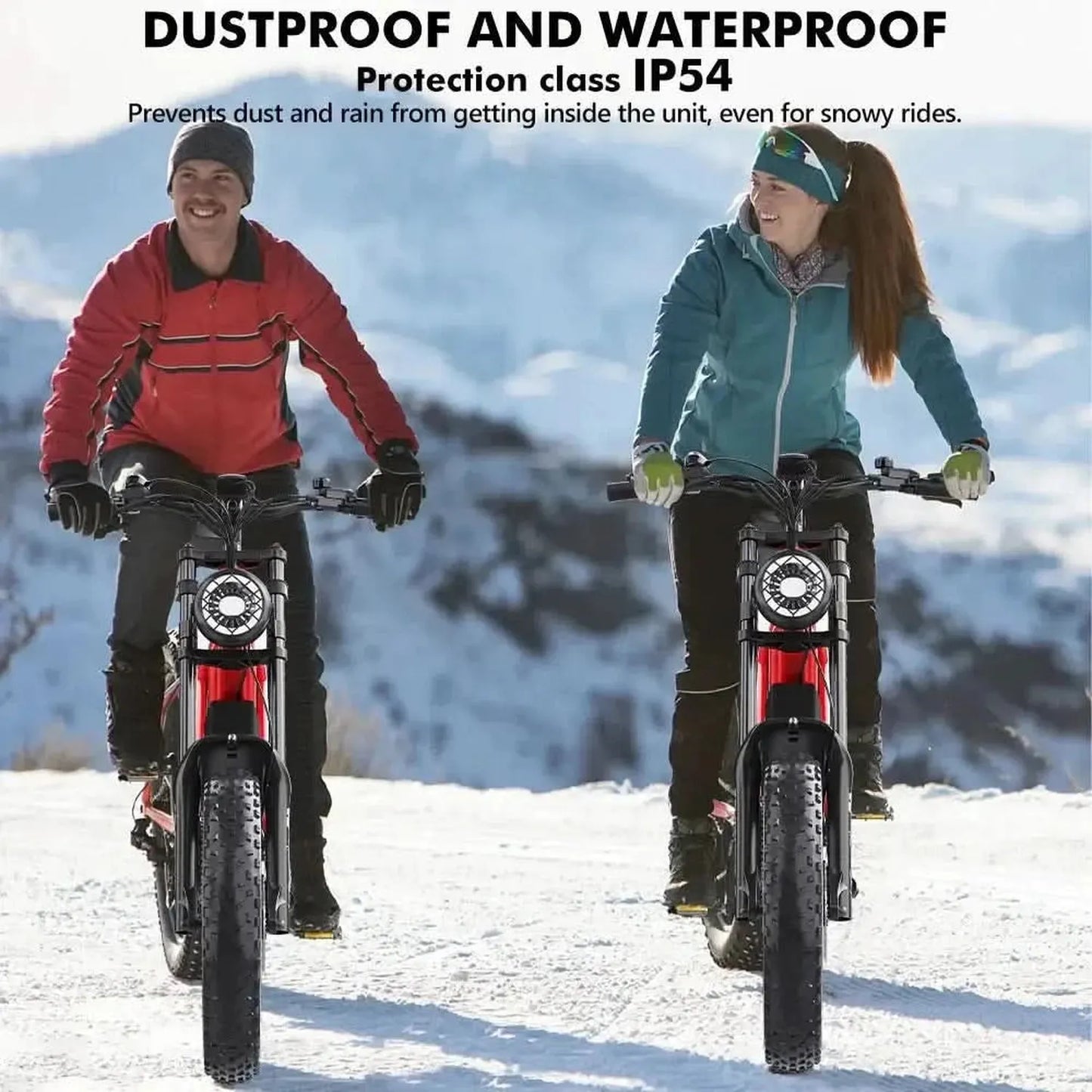 HIDOES B6 Electric Bike