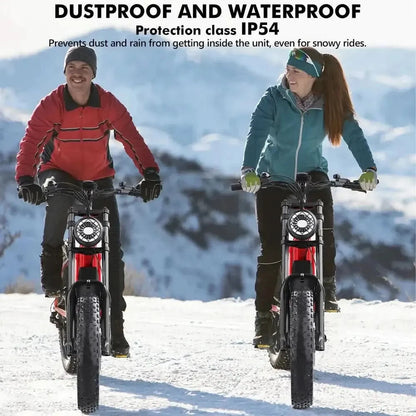 HIDOES B6 Electric Bike