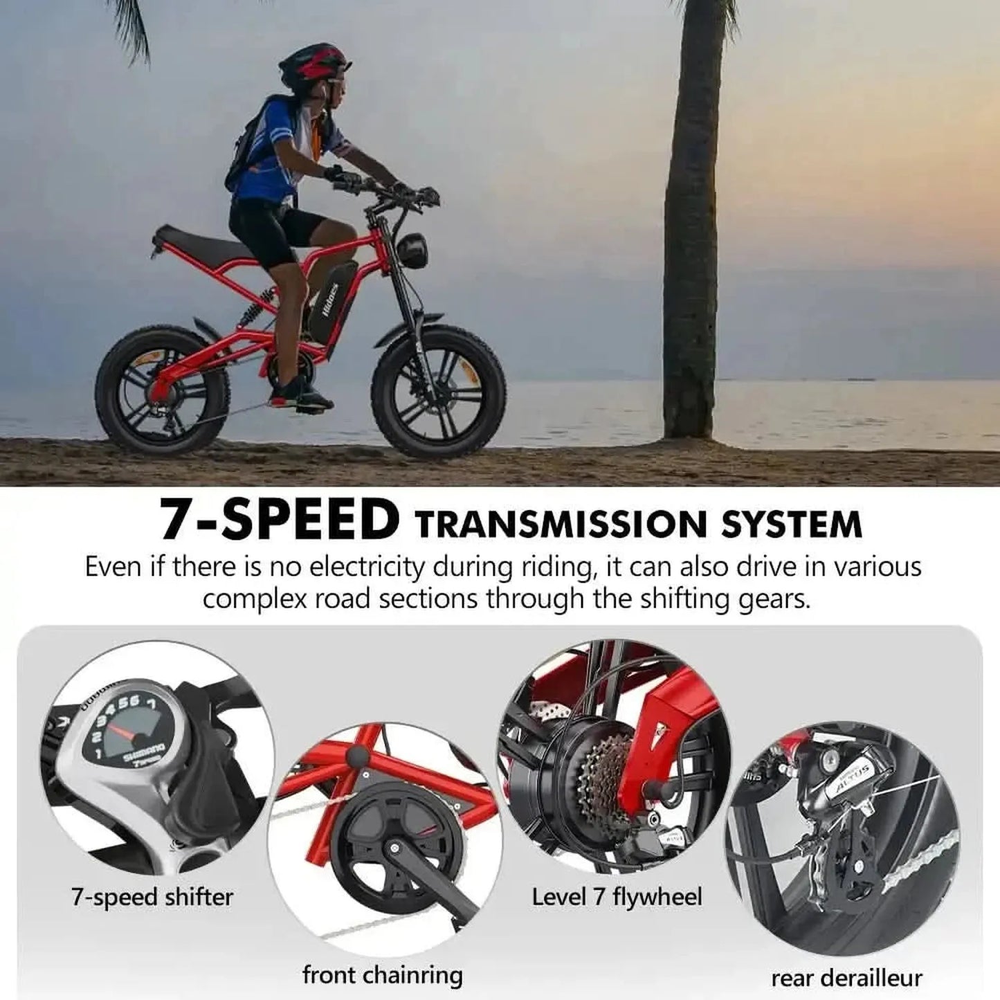 HIDOES B6 Electric Bike