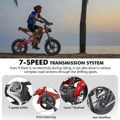 HIDOES B6 Electric Bike